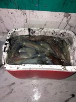 a piece of cake covered in snow