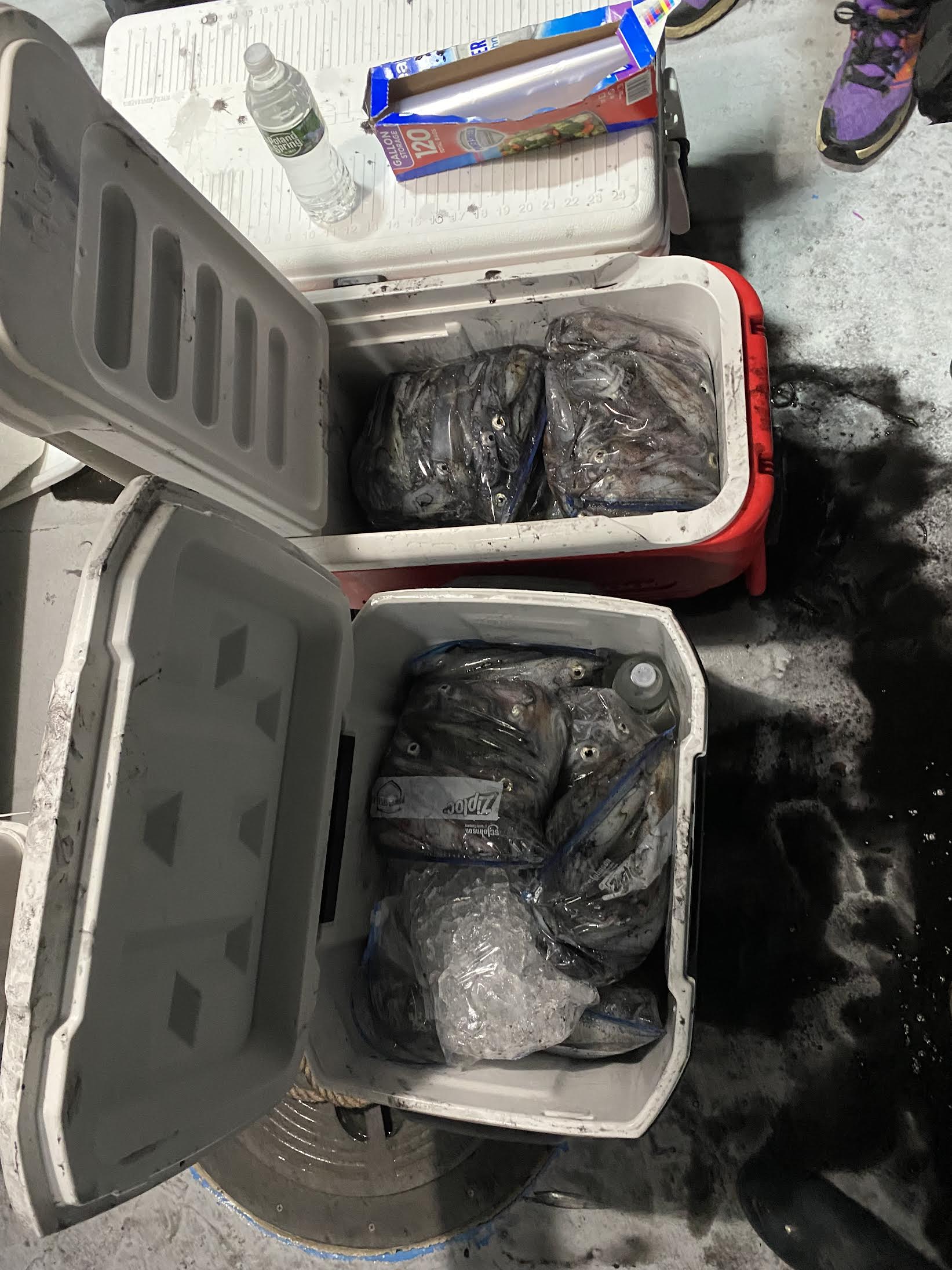 a street filled with lots of luggage