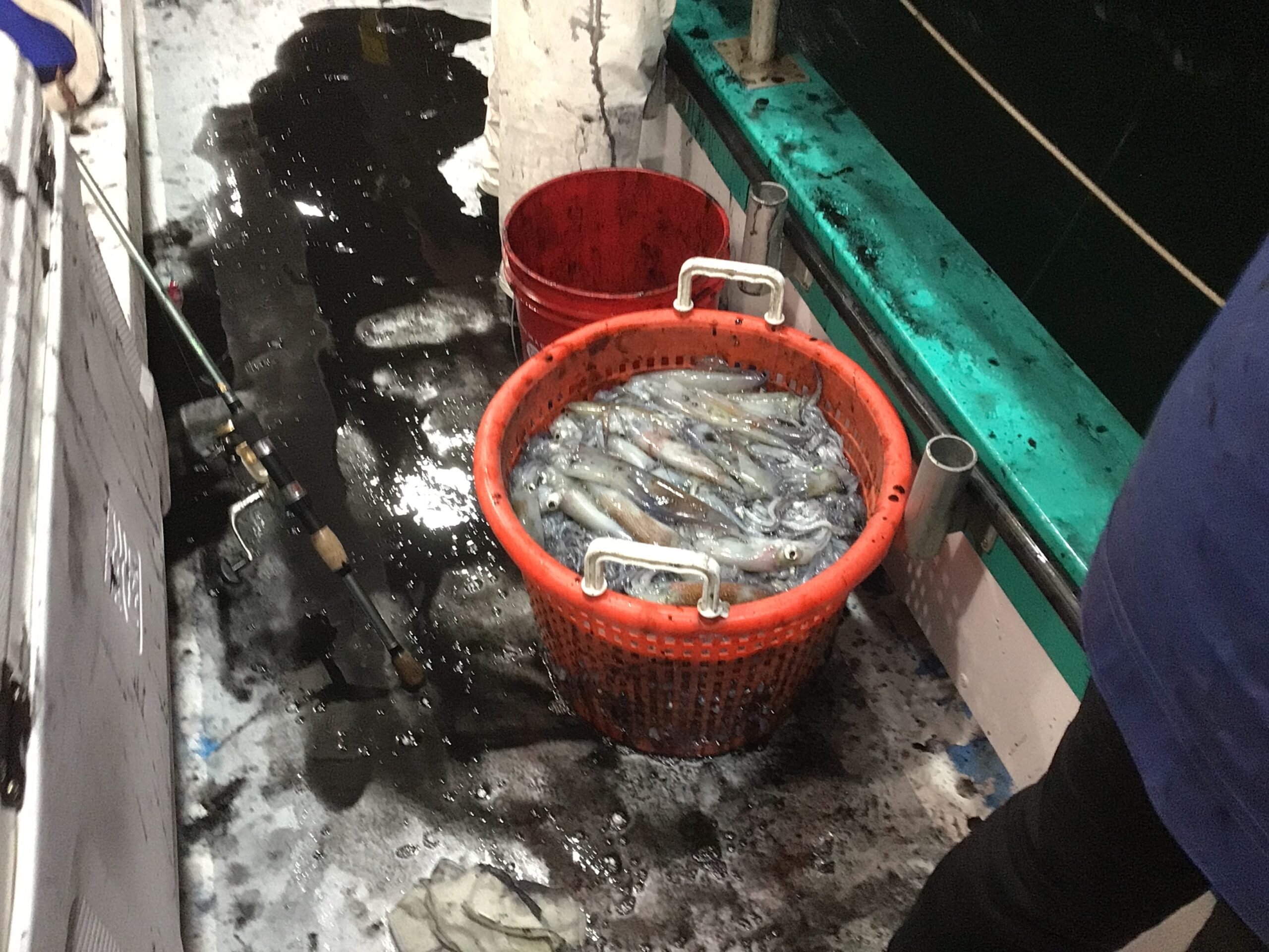 a close up of a bowl