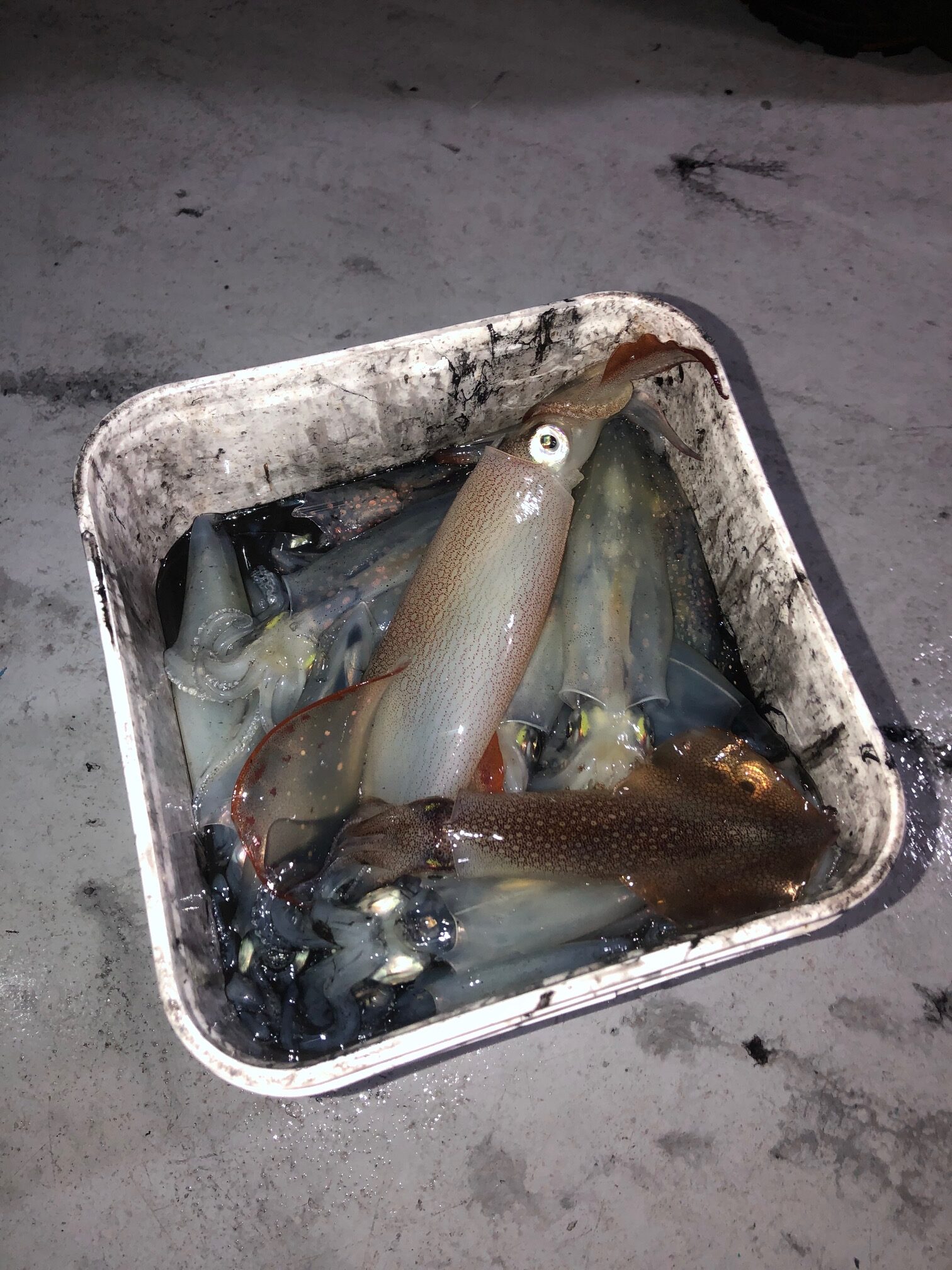 a knife sitting on top of a dirt field