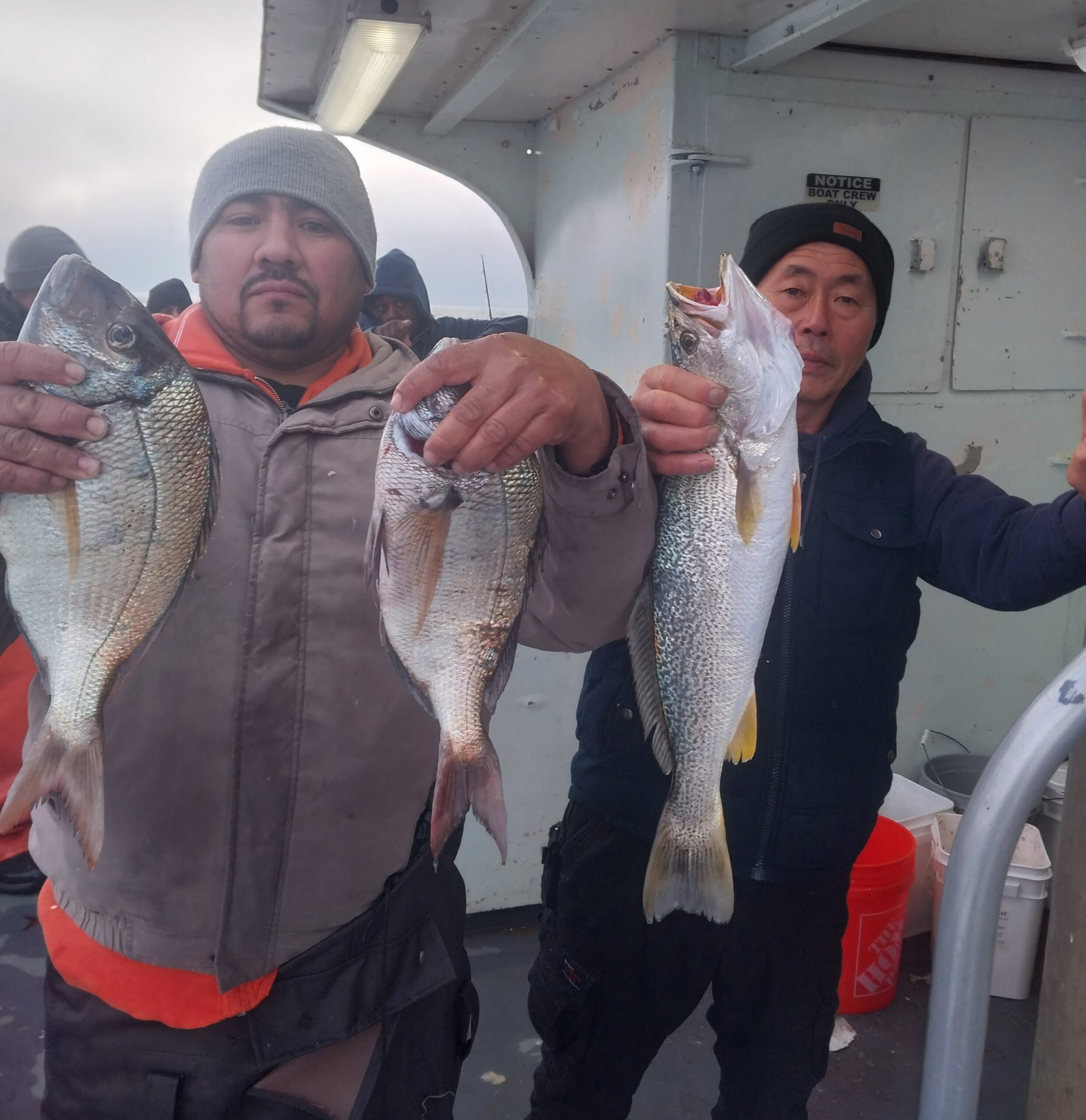 a person holding a fish