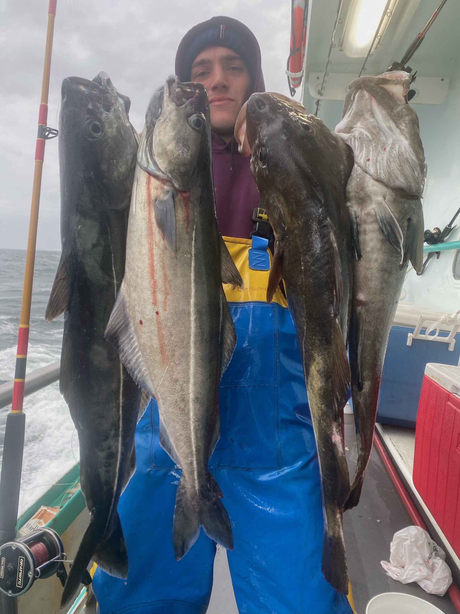 a person holding a fish