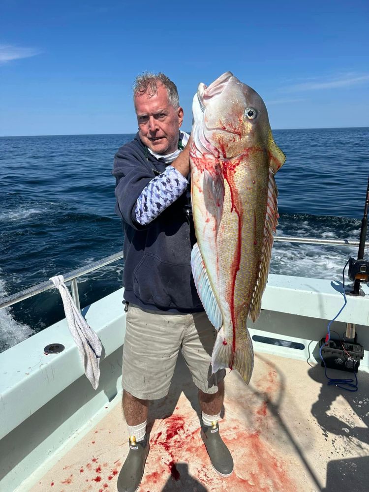 a person holding a fish in the water