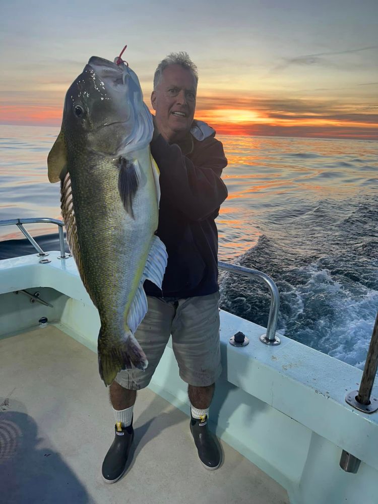 a man holding a fish in the water