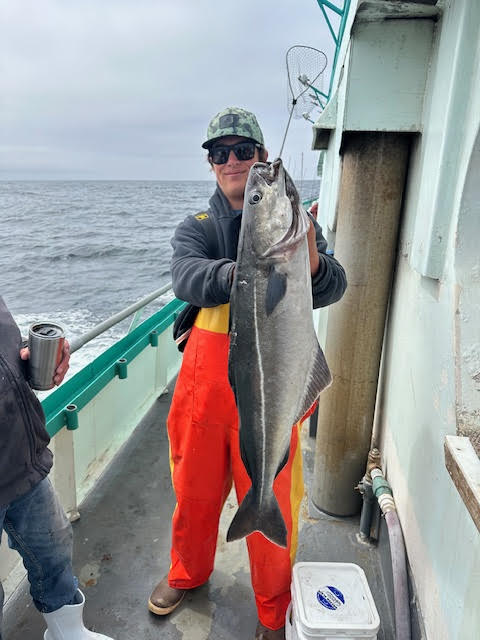 a person holding a fish in the water