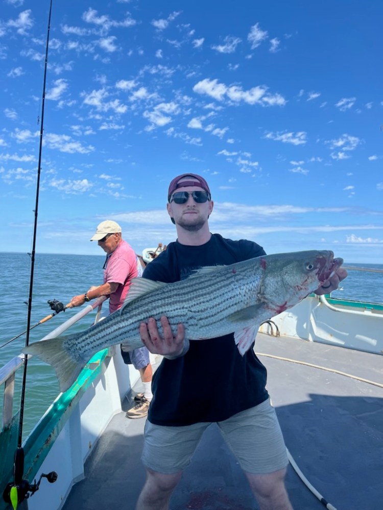 a person holding a fish in the water