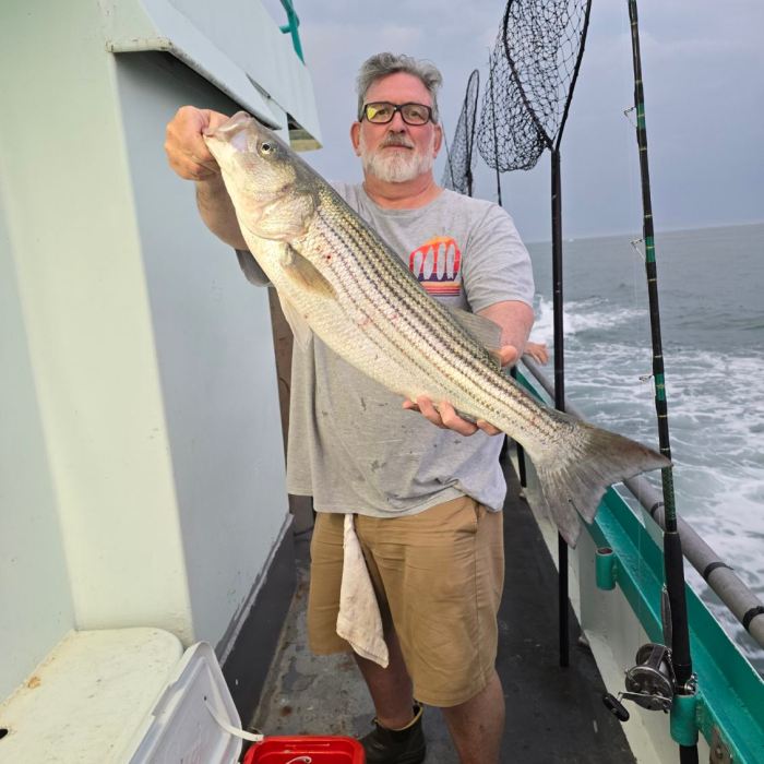 striped-bass-fishing-schedule-update-viking-fleet-fishing-report