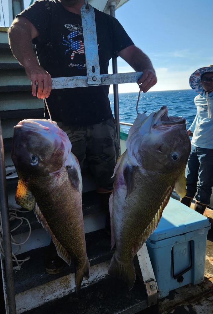 a person holding a fish