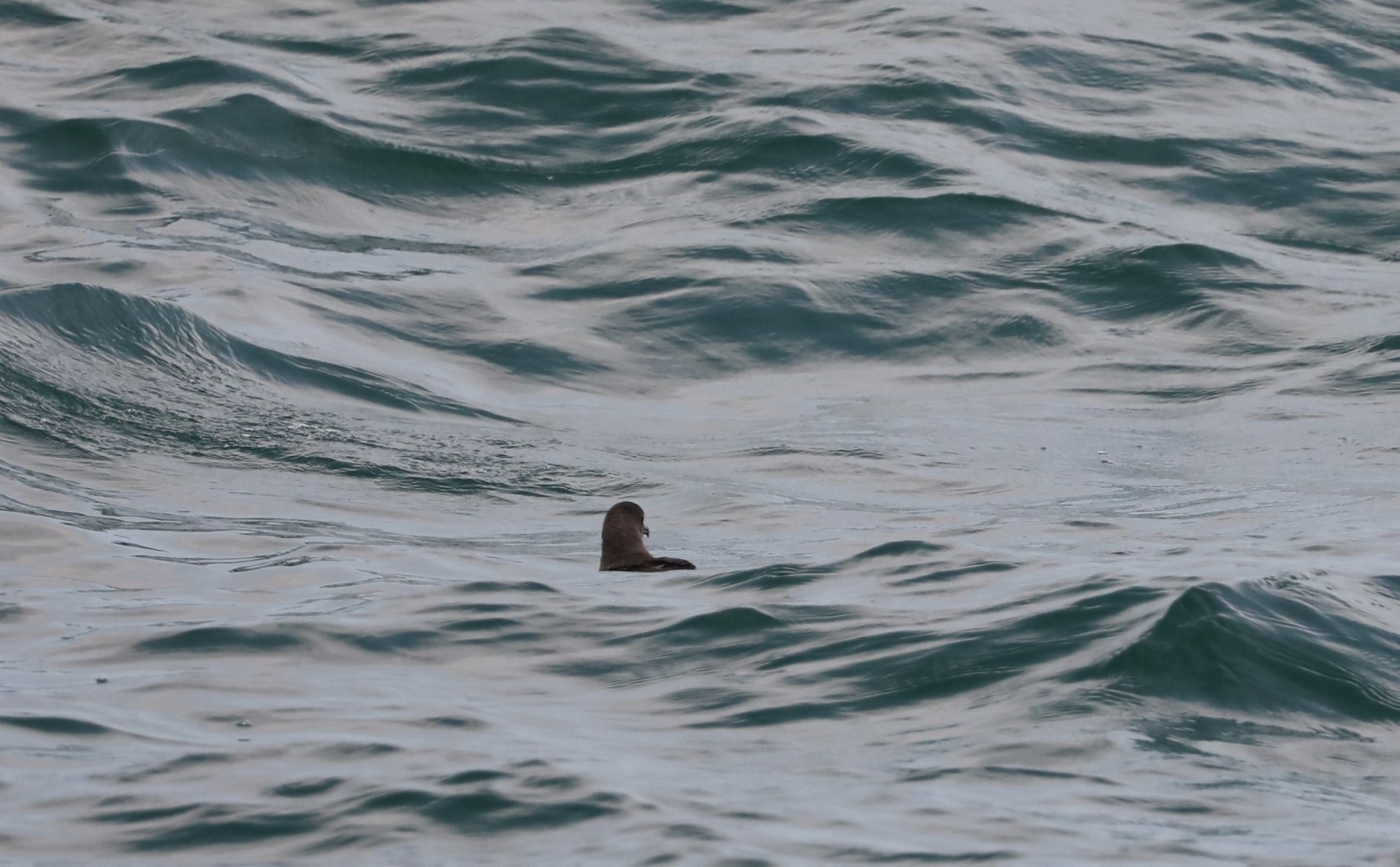 a person riding a wave on a surfboard in the ocean