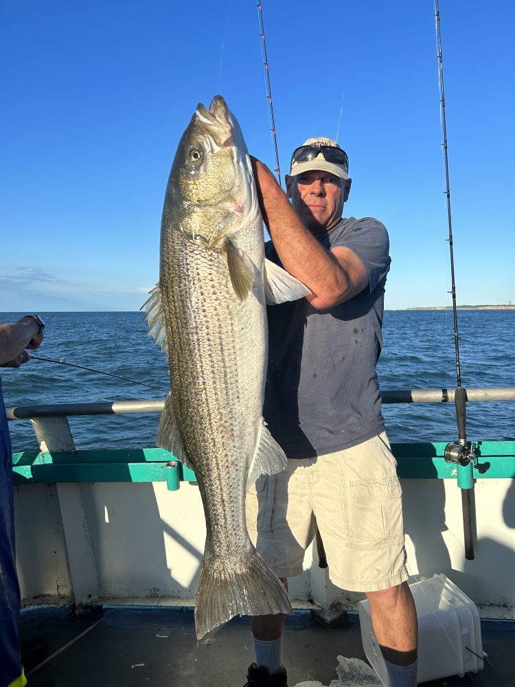 a person holding a fish in the water