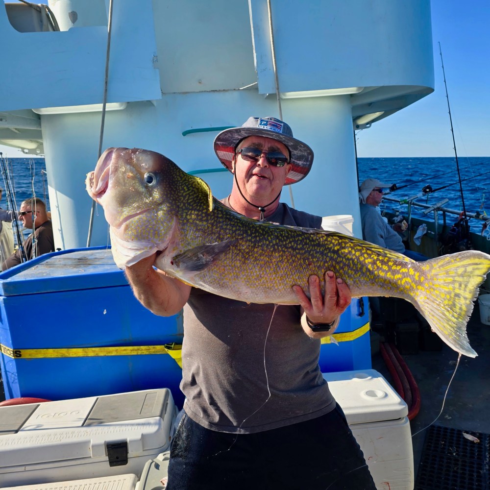 a person holding a fish on a boat