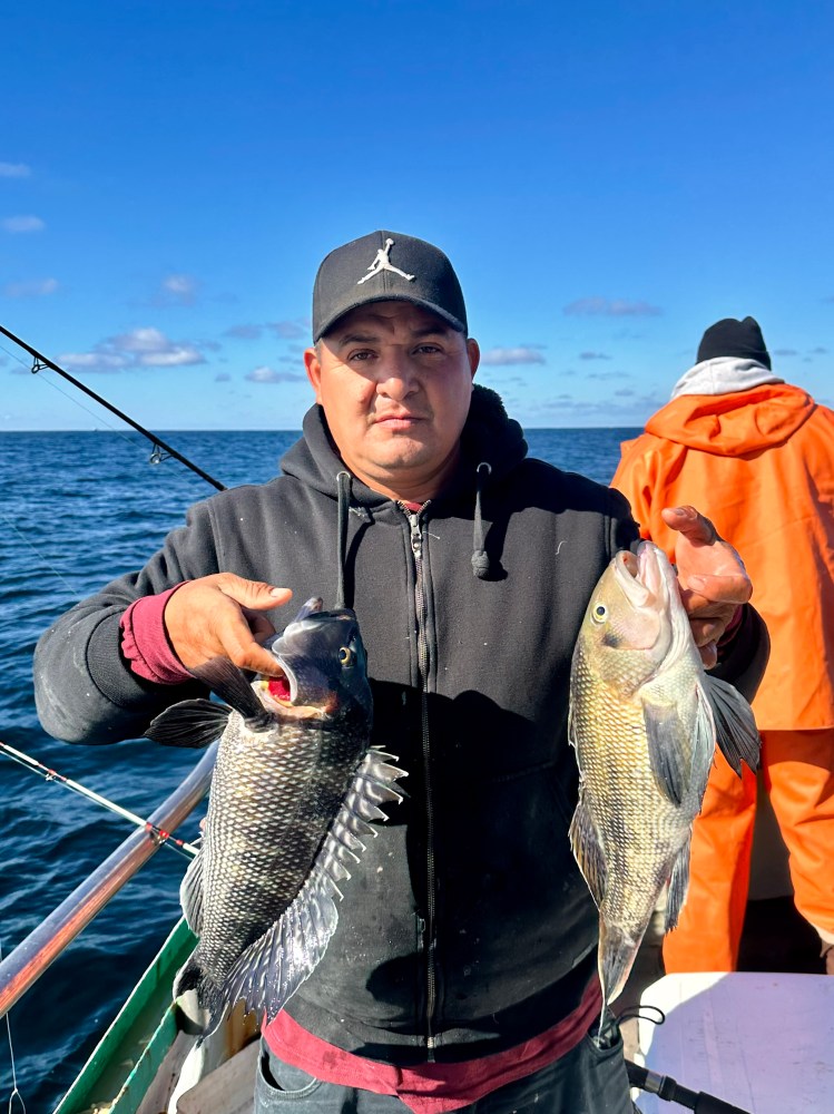 a person holding a fish in the water