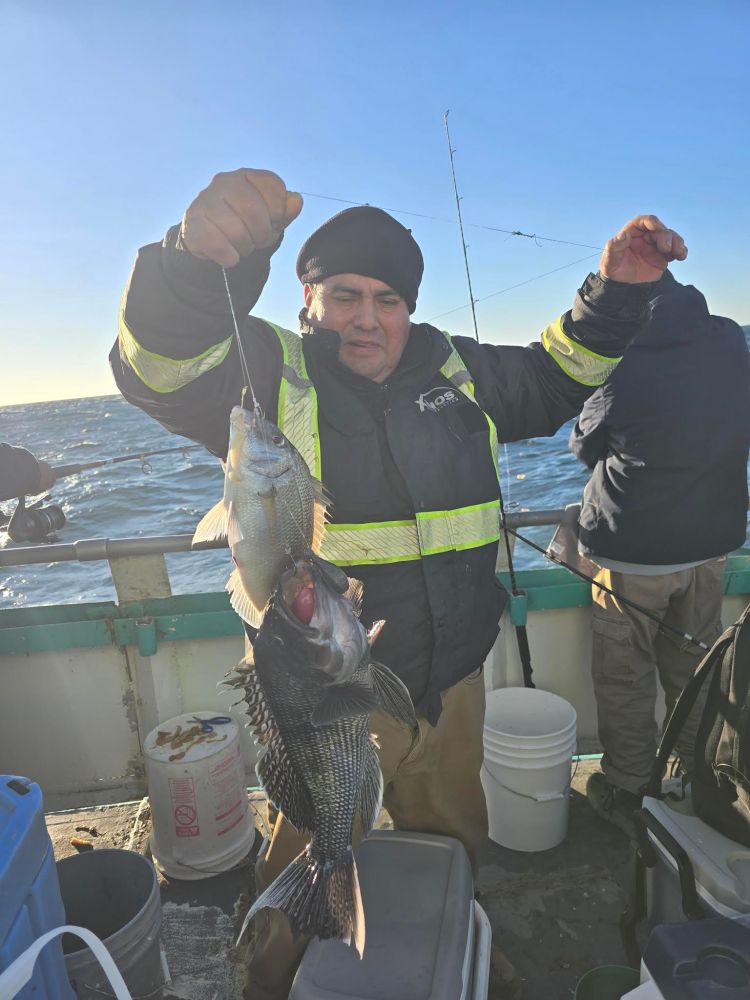 a person holding a fish