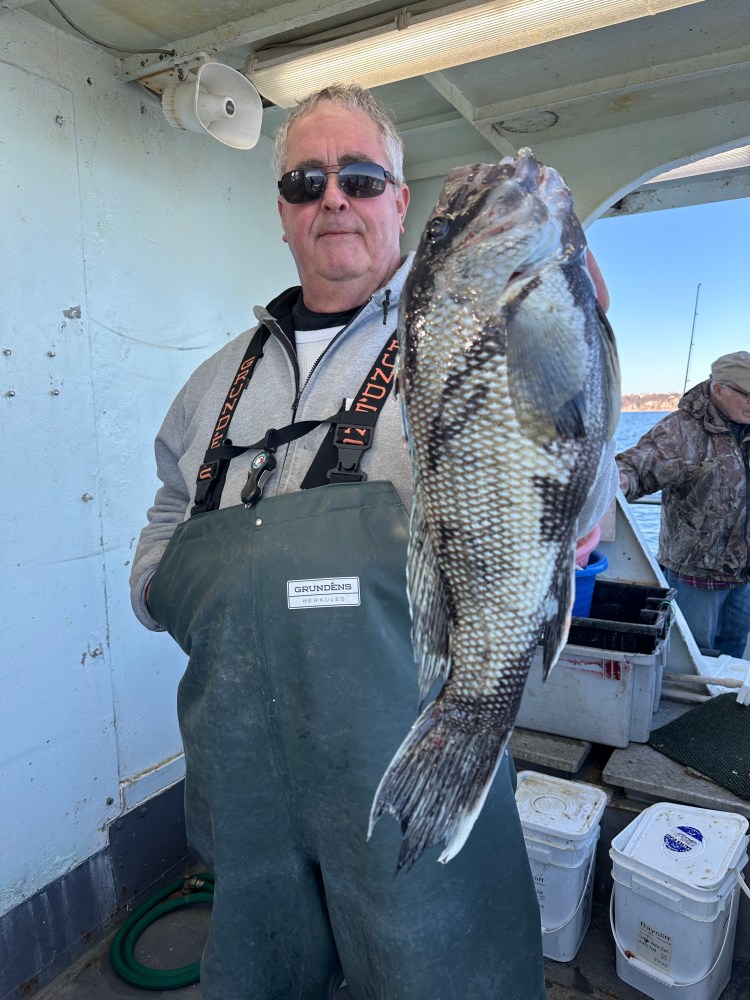 a man holding a fish