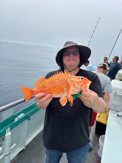a person holding a fish