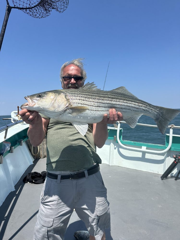 a person holding a fish