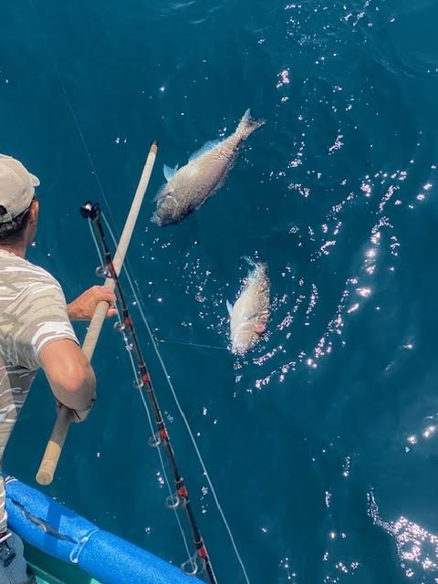 a person standing next to a body of water