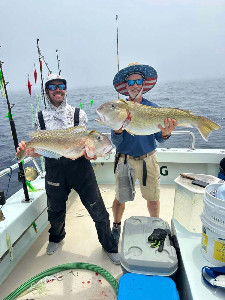 a person holding a fish on a boat