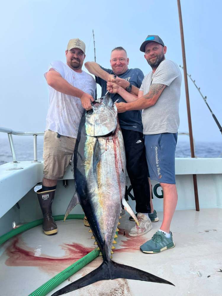 a person holding a fish
