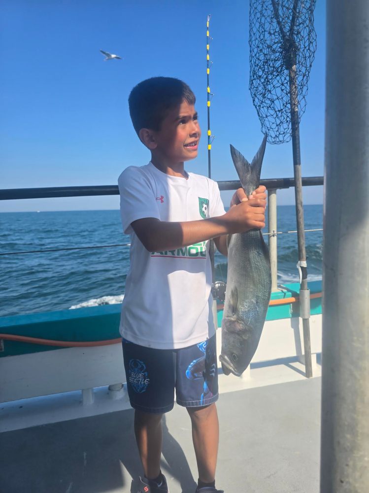 a man holding a fish in the water