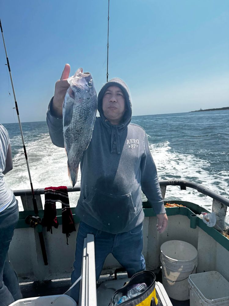 Person on a boat holding up a fish, with ocean and sky in the background.