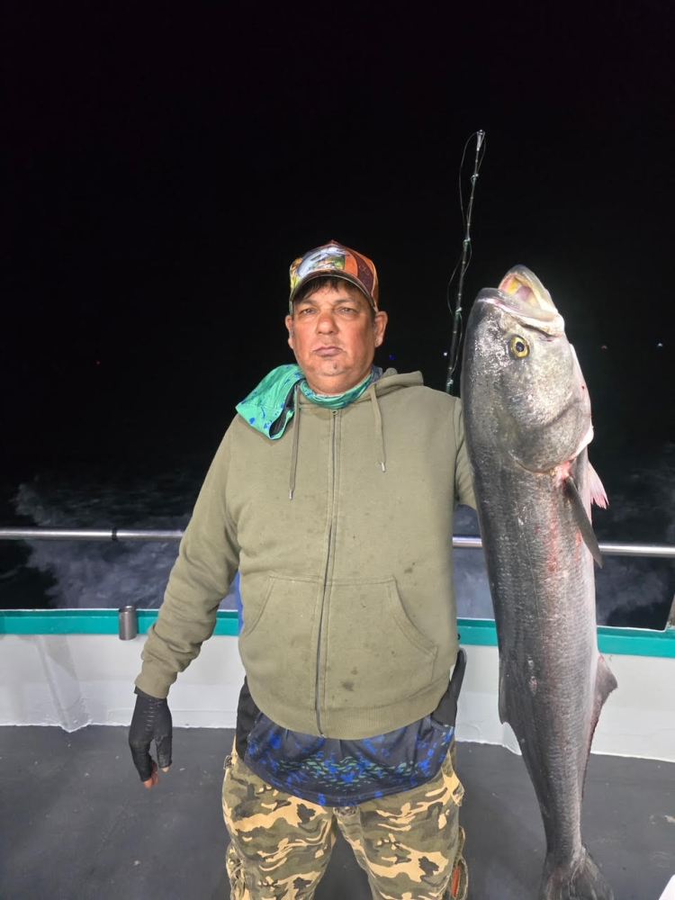 Person on a boat holding a large fish at night.