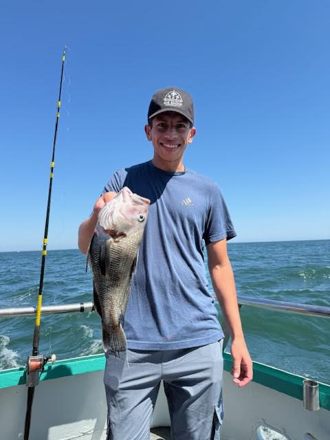 Person holding a fish on a boat with a fishing rod against a clear blue sky.