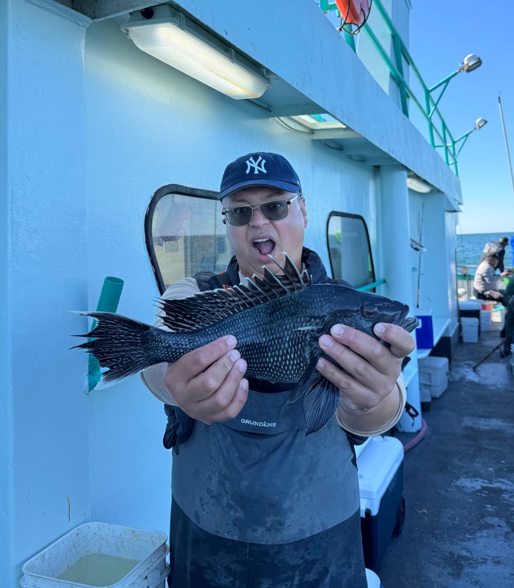 Person holding a black fish with spiky fins on a boat.