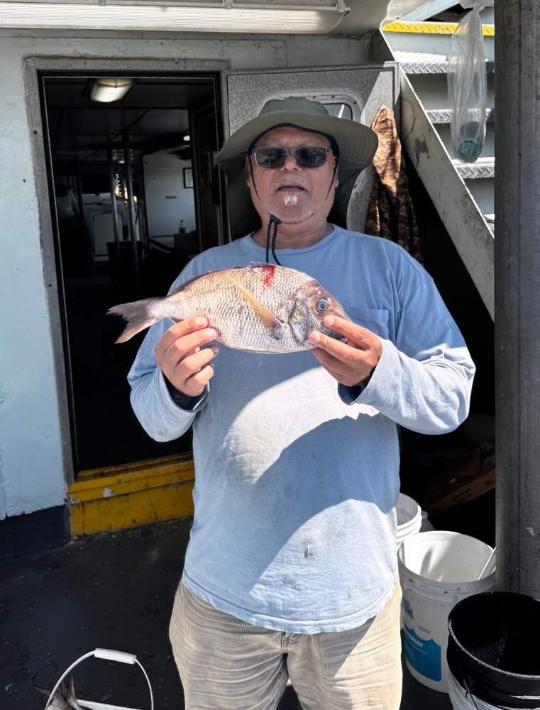 Person in a blue shirt and hat holding a fish on a boat.