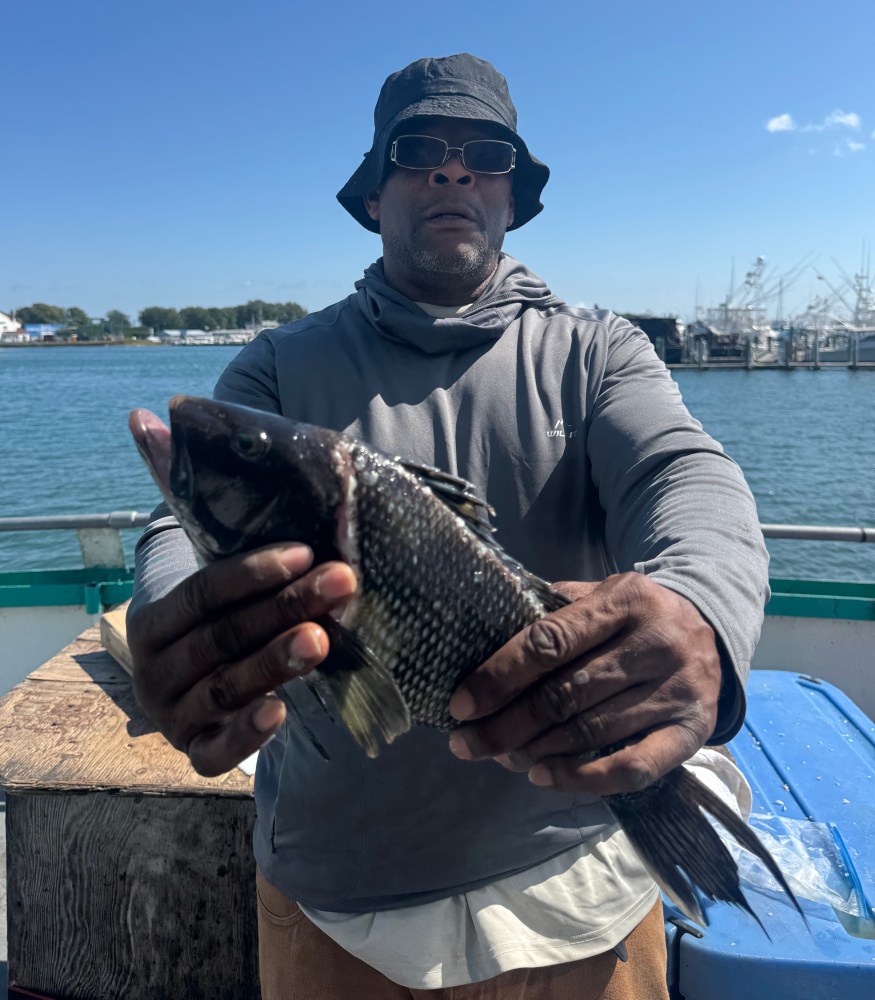 Man wearing a hat holds a fish on a boat with a marina in the background.