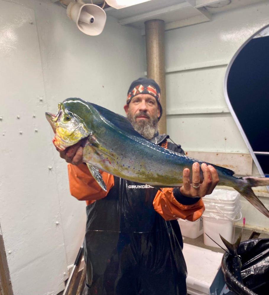 Person on boat holding a large fish with colorful scales.