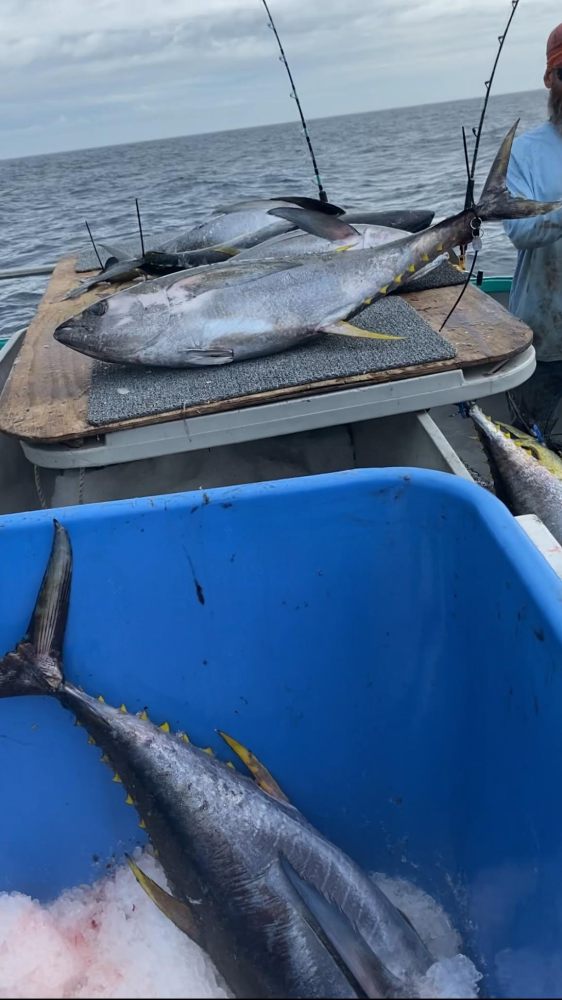 Large fish on a boat deck with fishing rods and ocean in the background.