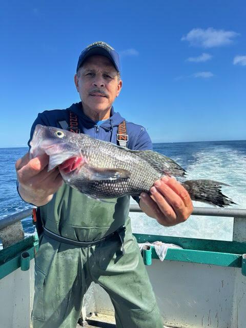 Man holding a fish on a boat with ocean and blue sky background.