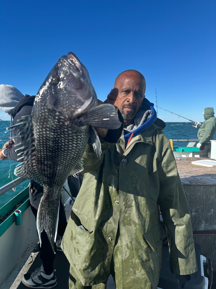 Person holding a large fish on a boat with clear blue sky in the background.