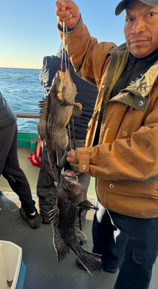 Person holding two large fish on a fishing boat with ocean background.