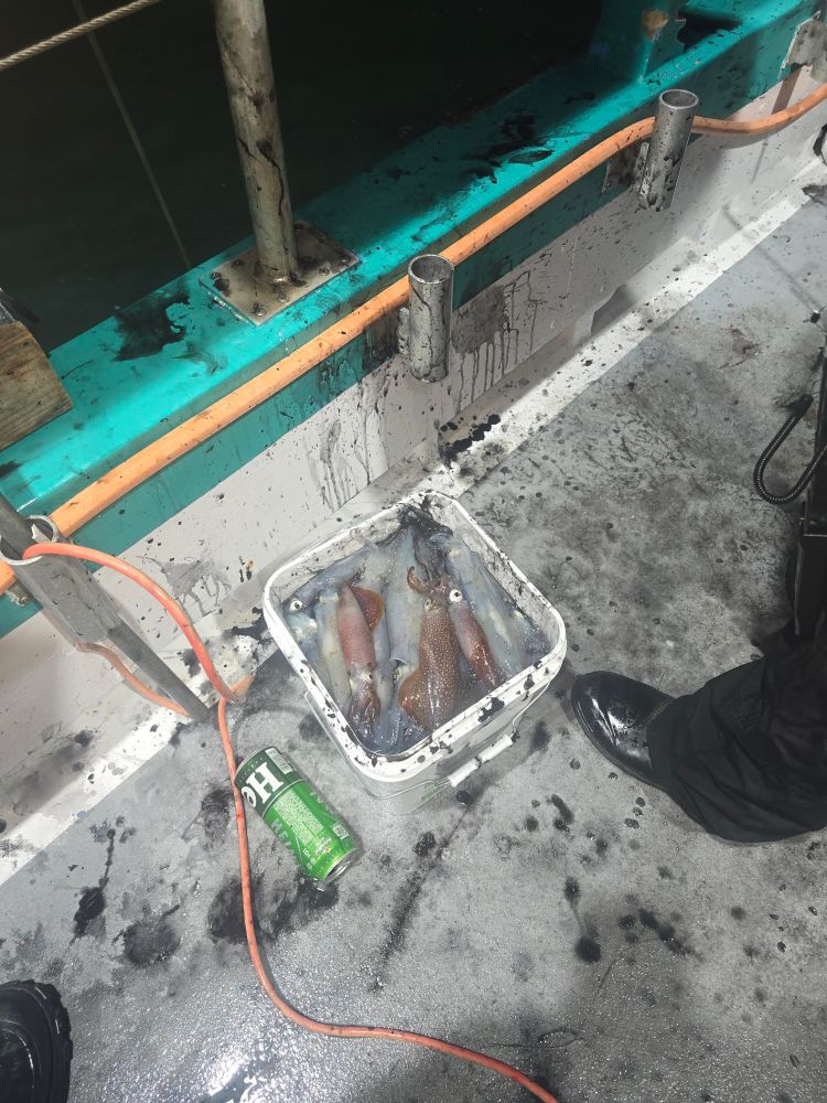 Box of squid on a boat deck with a green can and orange rope nearby.