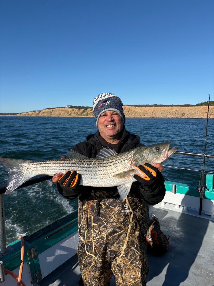 Person on a boat holding a large fish with rocky coastline in the background.