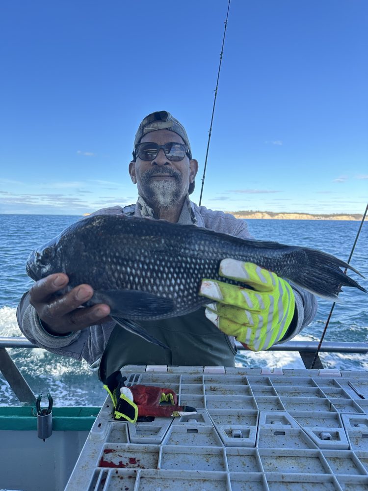 Man holding a fish on a boat with blue sky and ocean view in the background.