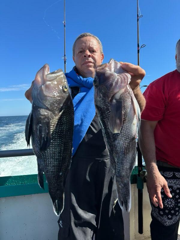 Person holding two large fish on a boat under a clear blue sky.