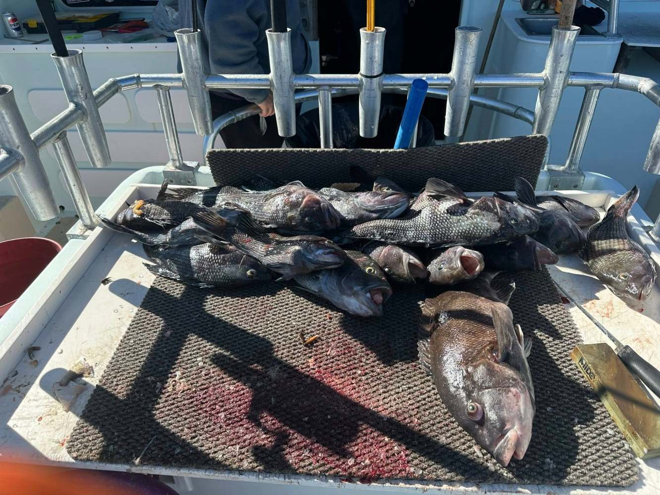 Several fish piled on a cutting board on a boat, with fishing rods in the background.