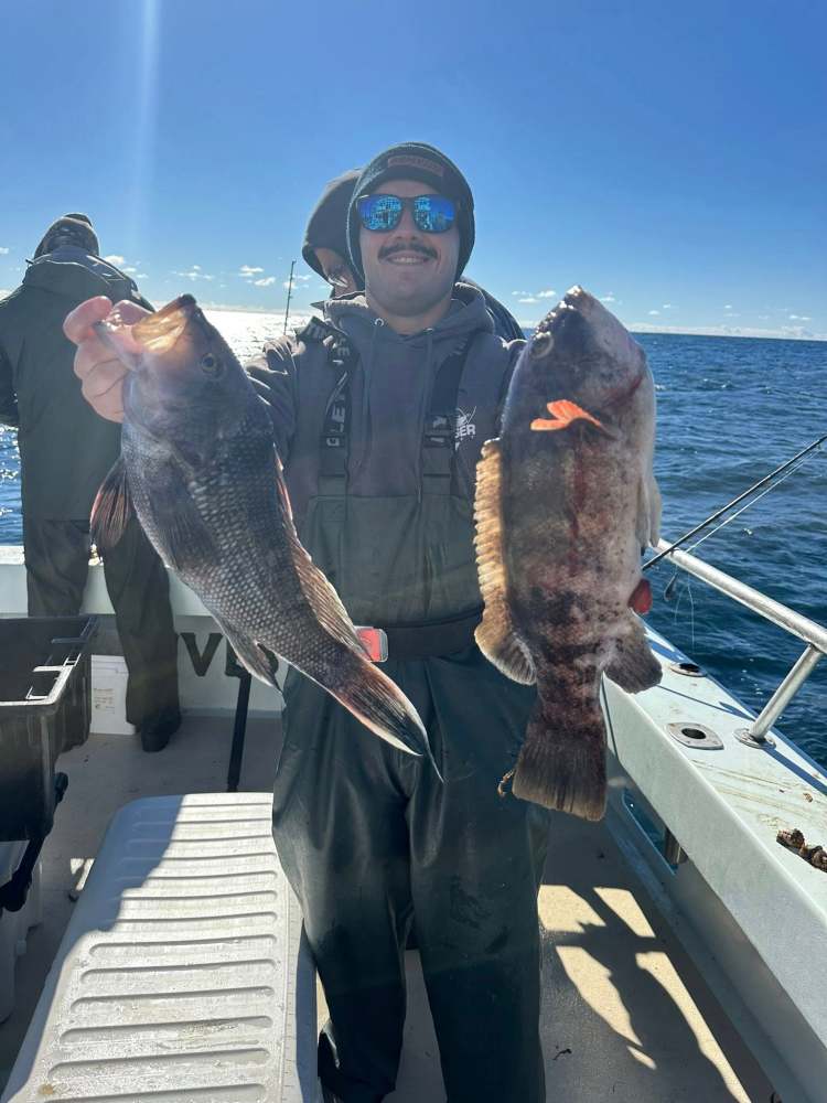 Person on a boat holds up two large fish against a clear blue sky.