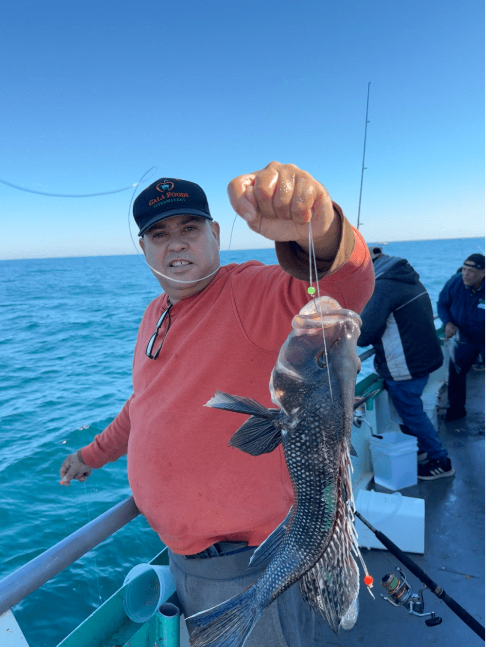 Person on boat holding a fish with the ocean in the background.