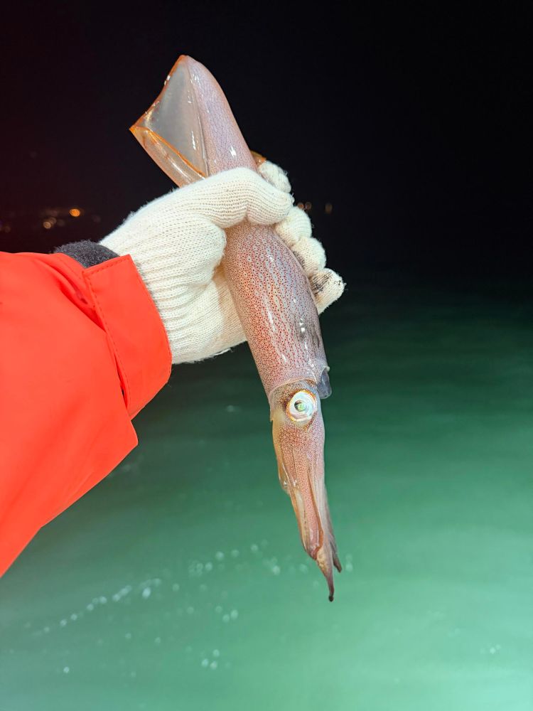Person in orange jacket holding a squid over water at night.