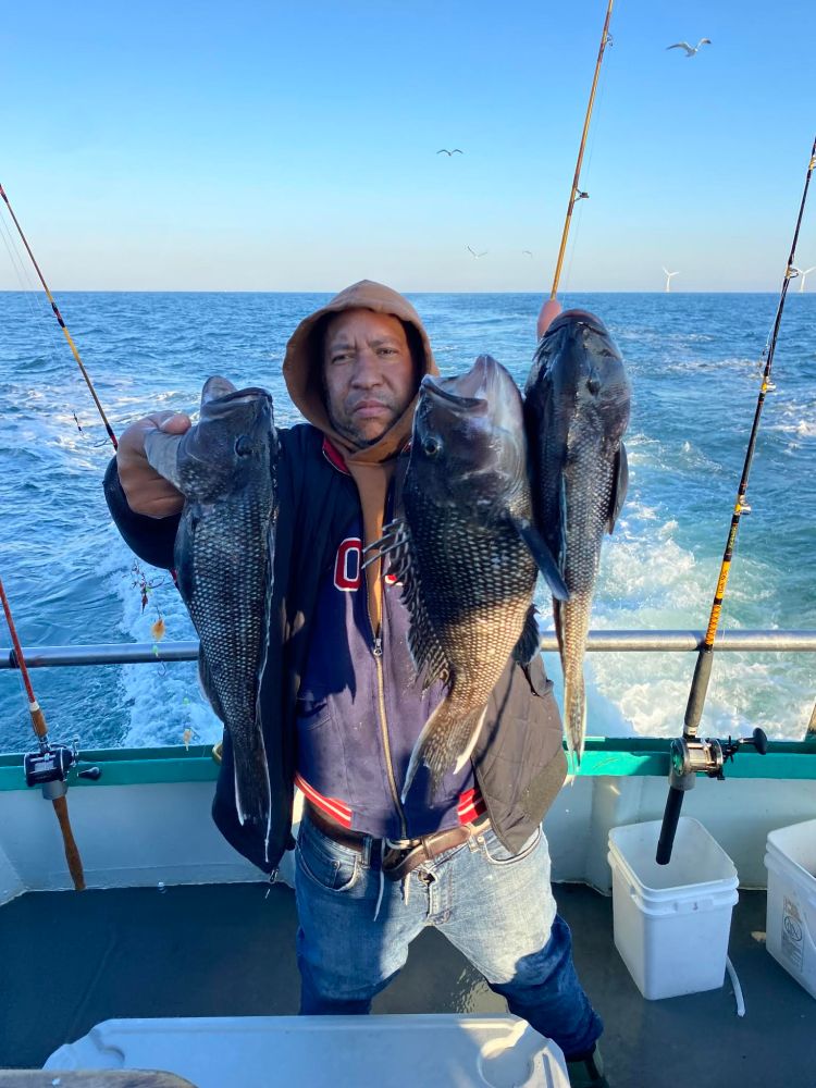 Person on a boat holding three fish with ocean and sky background.