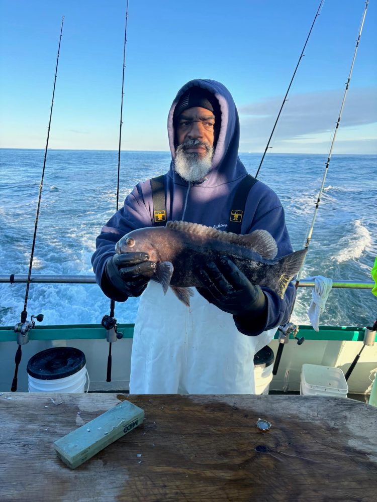 Person in a hoodie holding a large fish on a boat with fishing rods, ocean background.