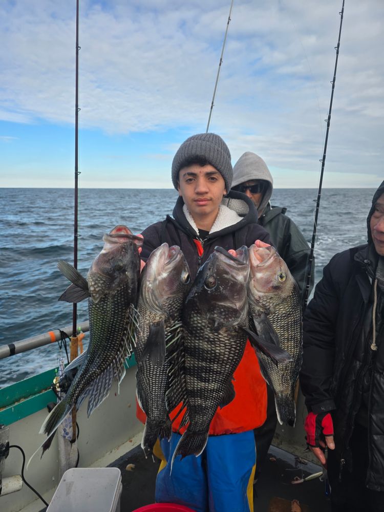 Person holding four large fish on a boat with ocean in the background.