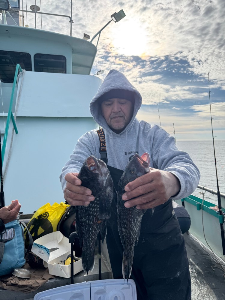 Person in hoodie on a boat holding two fish with a cloudy sky.