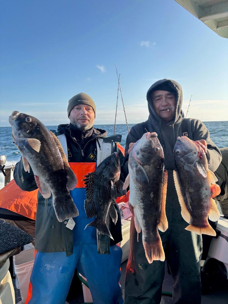 Two people on a boat holding up several large fish with the ocean in the background.
