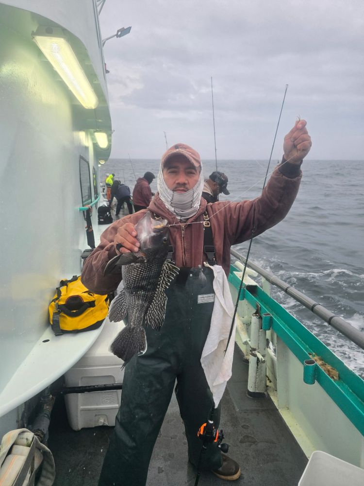 Person on a boat holding a large fish by the ocean on a cloudy day.