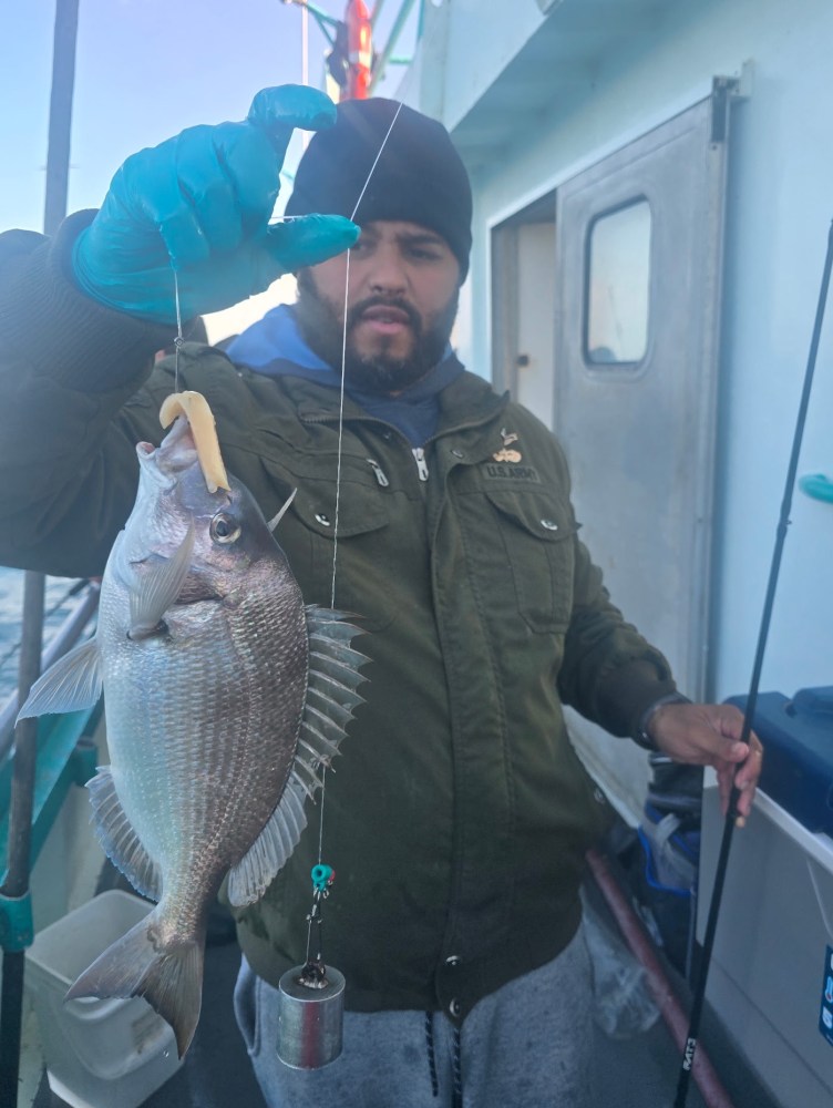 Person holding a fish on a hook with a fishing rod on a boat.